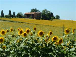 I brevissimi 2019 – Le colline dei castelli, Flavio Bidolli_Frascati(RM)