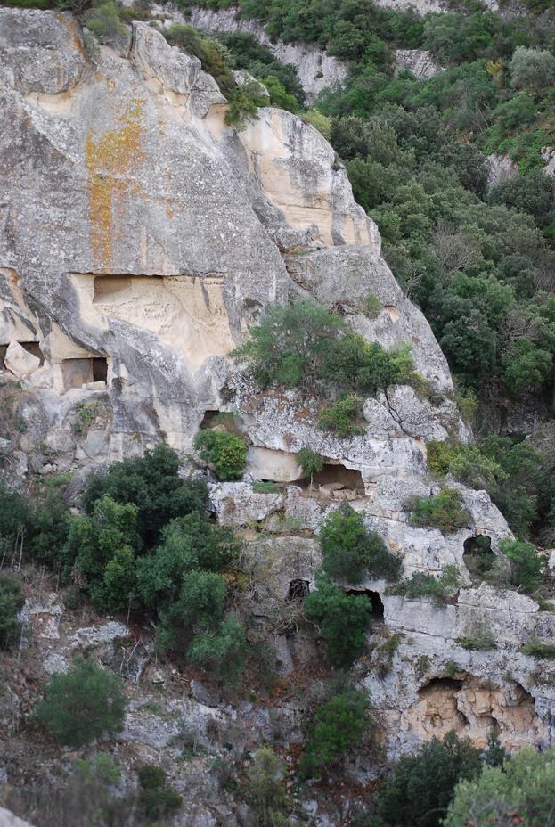 I brevissimi 2019 – La collina verde, Francesco Brusò_Mestre(VE)