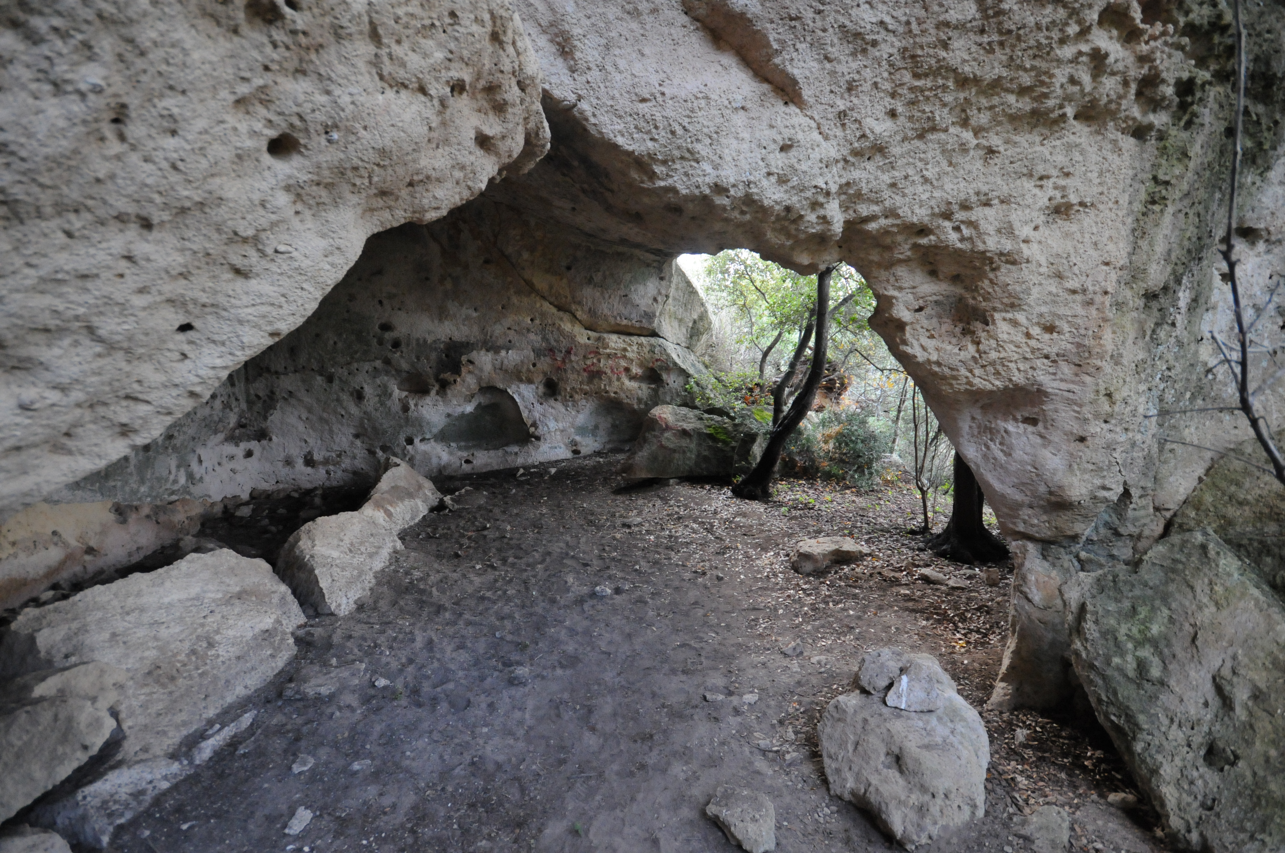 Le foto relative all’escursione a Murgia S.Andrea_Vallone della Loe