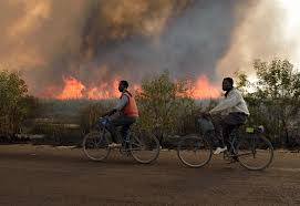 Futur éloigné: décroissance ou barbarie, avant ou après l’effondrement?_Serge Latouche