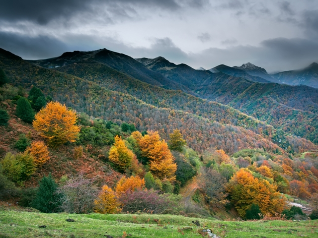 I brevissimi 2014 – Dall’alto della collina di Claudia Bertolè_Torino