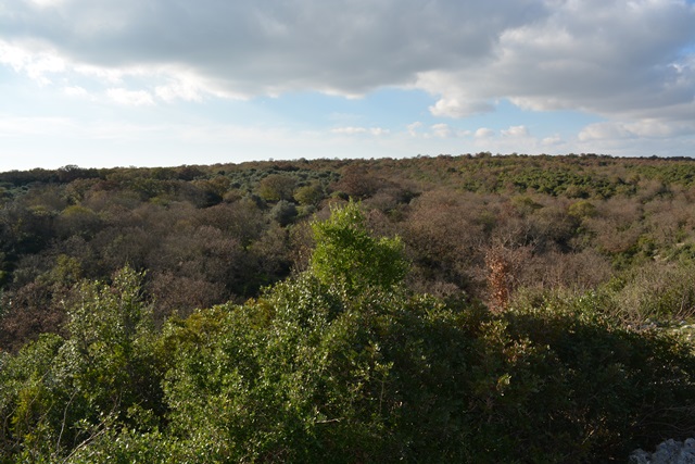 Escursione Bosco La selva_Matera. Il luogo