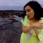 bjork