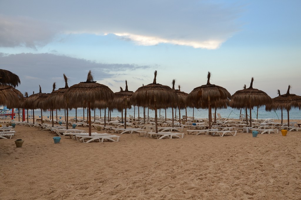 No habrá tormenta sin néctar, Iria Fariñas_ Alicante